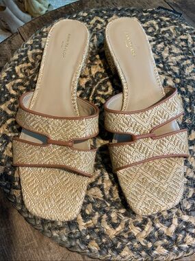Ann Taylor Beige and Brown Woven Double-Strap Slide Sandals